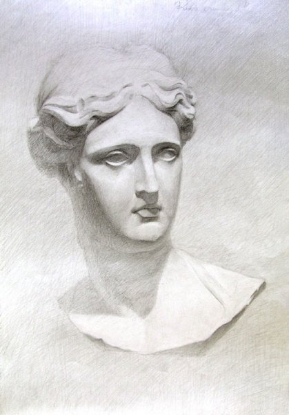 Gyps Aphrodite, 2001