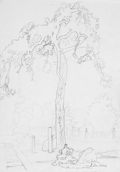 Pine tree, 2003