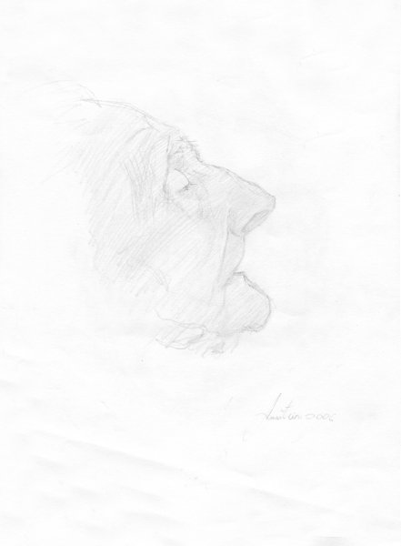 Avraham Slomenyanko, 2006