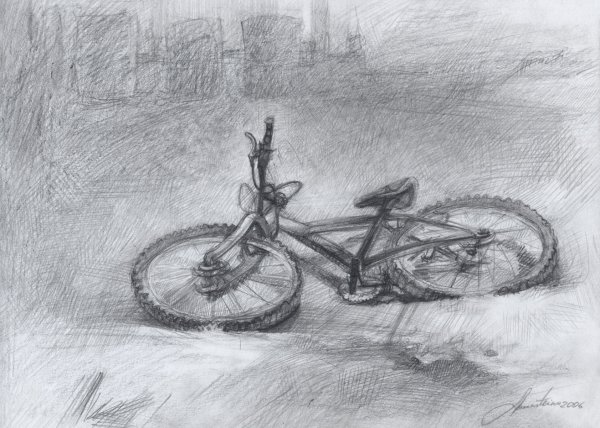 Bicycle, 2006