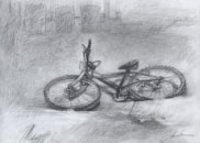 Bicycle, 2006