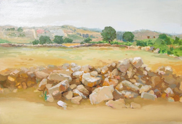 Arab fields in Givat Ahish, 2010