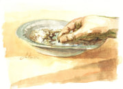 Melechet Borer, 2010