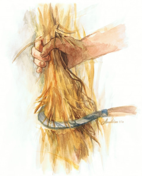 Melechet Kotzer, 2010