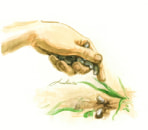 Melechet Zorea, 2010